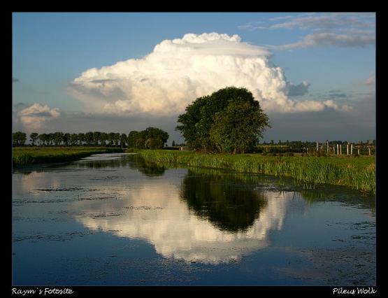 Bild Nr. 10883 - 393 mal gesehen