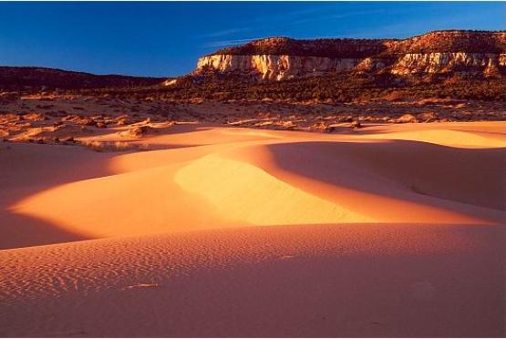 Bild Nr. 1478 - 326 mal gesehen