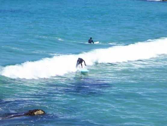 Bild Nr. 16468 - 146 mal gesehen