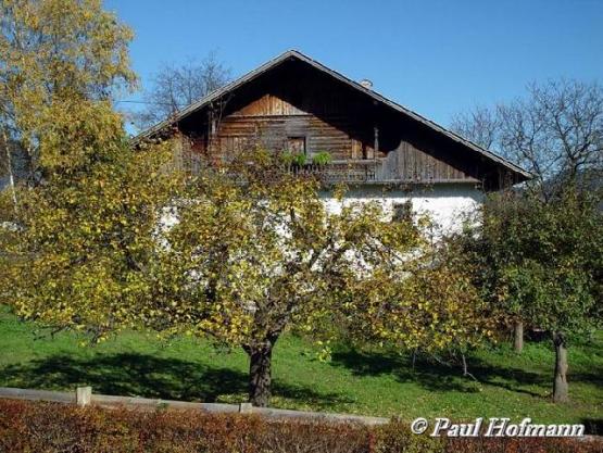 Bild Nr. 17804 - 197 mal gesehen