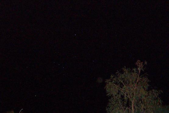 Bild Nr. 18801 - 203 mal gesehen