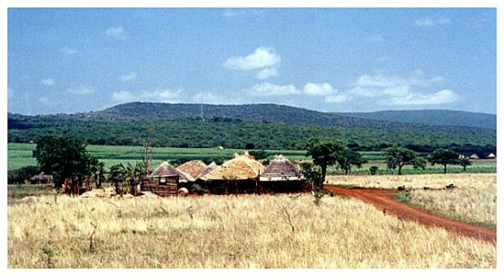 Bild Nr. 2073 - 194 mal gesehen