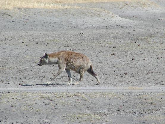 Bild Nr. 2209 - 283 mal gesehen