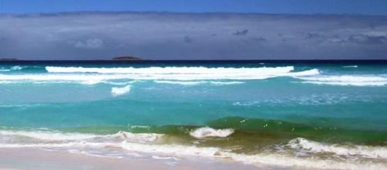 Bild Nr. 2220 - 129 mal gesehen Bild Nr. 2220 - 129 mal gesehen