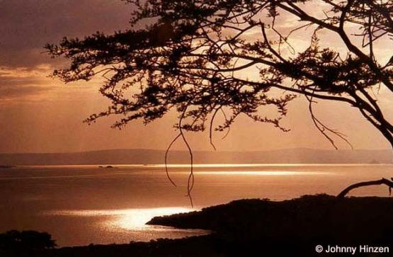 Bild Nr. 236 - 201 mal gesehen