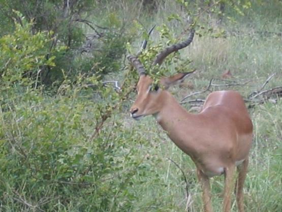 Bild Nr. 25229 - 214 mal gesehen