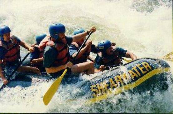 Bild Nr. 253 - 141 mal gesehen Bild Nr. 253 - 141 mal gesehen