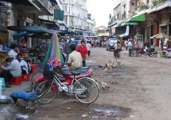 Bild Nr. 2601 - 203 mal gesehen