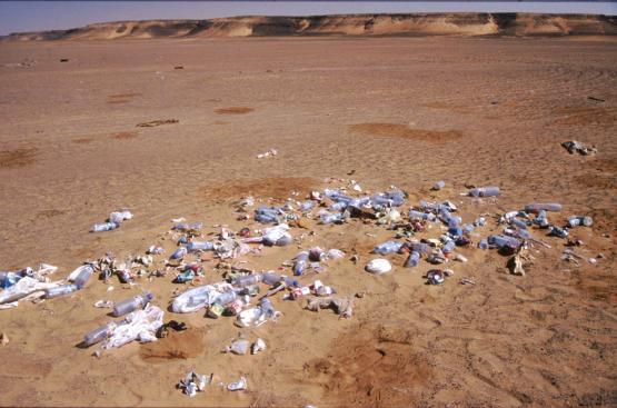 Bild Nr. 266 - 243 mal gesehen