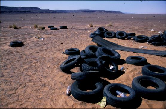 Bild Nr. 268 - 191 mal gesehen