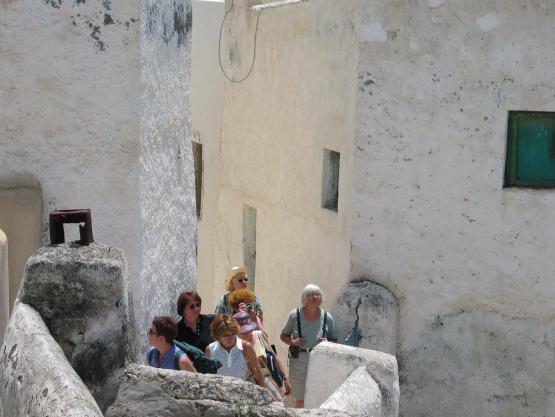 Bild Nr. 2718 - 187 mal gesehen