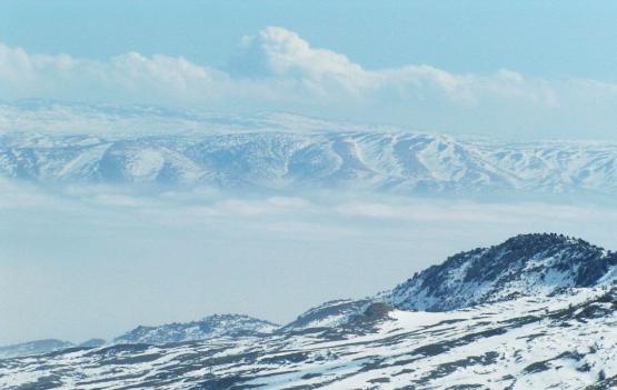 Bild Nr. 2815 - 159 mal gesehen Bild Nr. 2815 - 159 mal gesehen