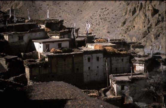 Bild Nr. 287 - 204 mal gesehen