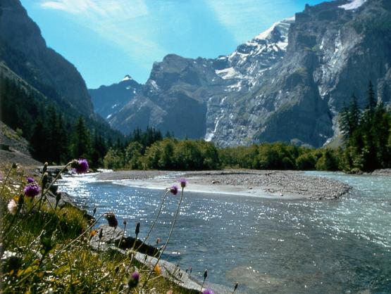 Bild Nr. 3035 - 383 mal gesehen Bild Nr. 3035 - 383 mal gesehen