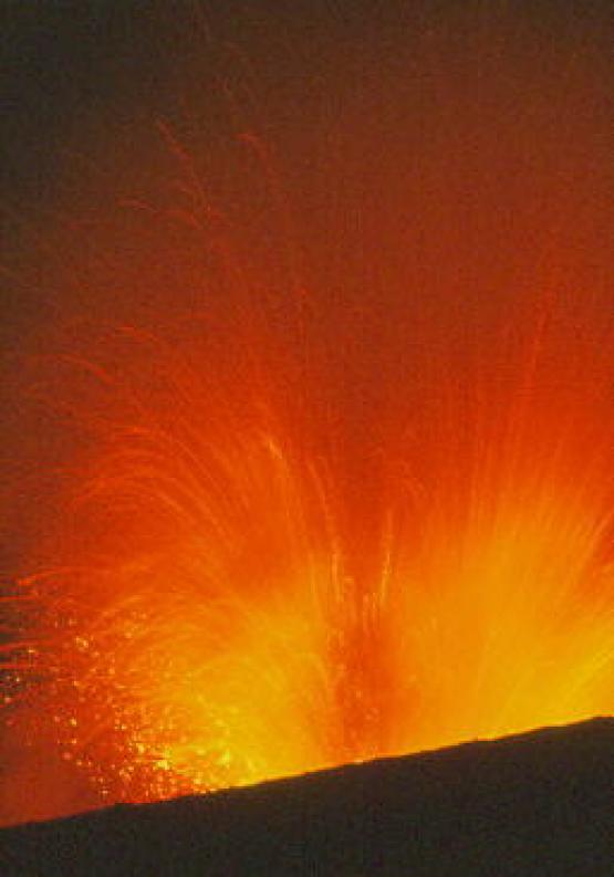 Bild Nr. 3043 - 431 mal gesehen Bild Nr. 3043 - 431 mal gesehen