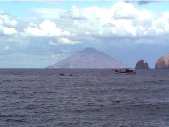 Bild Nr. 3044 - 432 mal gesehen Bild Nr. 3044 - 432 mal gesehen