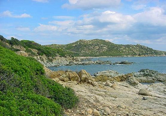 Bild Nr. 315 - 194 mal gesehen