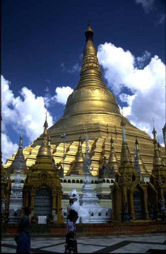 Bild Nr. 318 - 269 mal gesehen