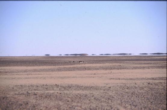 Bild Nr. 333 - 171 mal gesehen