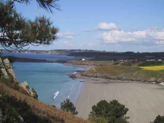 Bild Nr. 3630 - 212 mal gesehen