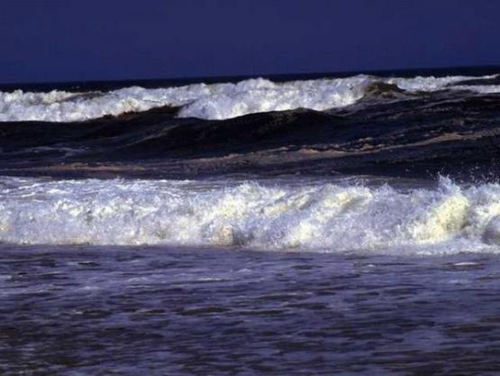 Bild Nr. 3852 - 238 mal gesehen