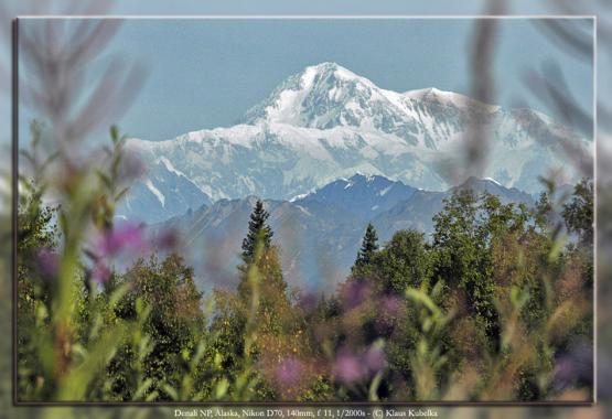 Bild Nr. 6032 - 607 mal gesehen Bild Nr. 6032 - 607 mal gesehen