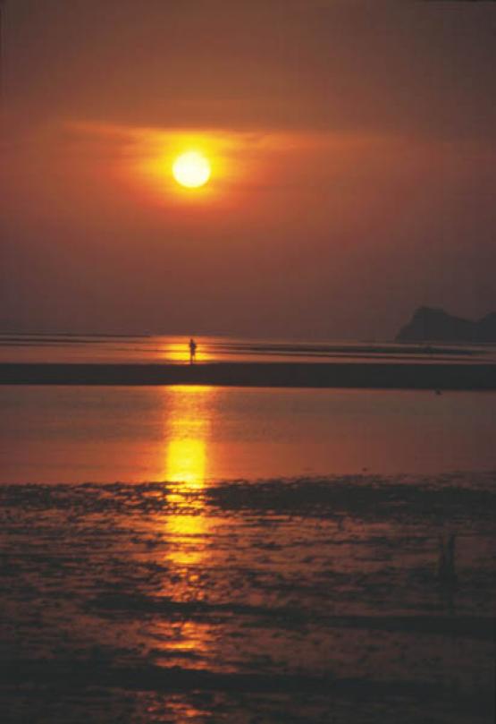 Bild Nr. 6375 - 233 mal gesehen