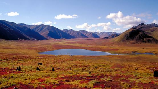 Bild Nr. 664 - 304 mal gesehen