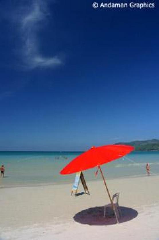 Bild Nr. 7011 - 305 mal gesehen Bild Nr. 7011 - 305 mal gesehen