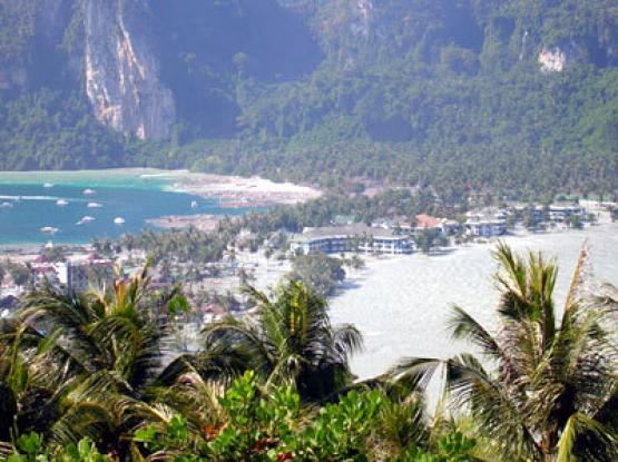 Bild Nr. 7114 - 344 mal gesehen