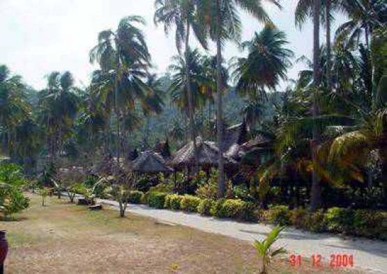 Bild Nr. 7226 - 342 mal gesehen