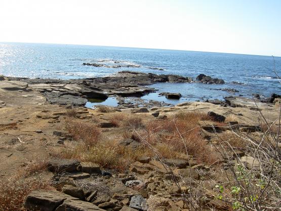 Bild Nr. 7343 - 142 mal gesehen