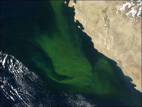 Bild Nr. 7886 - 224 mal gesehen Bild Nr. 7886 - 224 mal gesehen