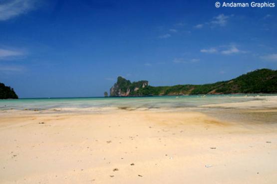 Bild Nr. 7922 - 364 mal gesehen