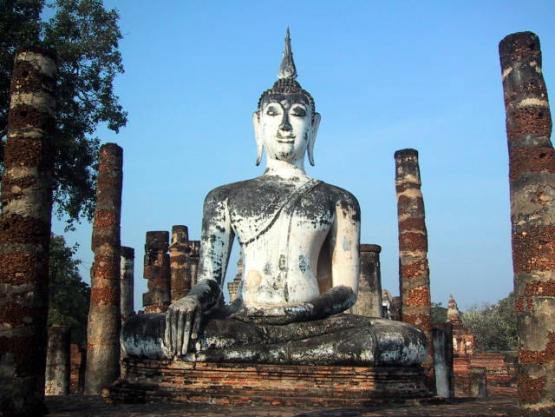 Bild Nr. 816 - 135 mal gesehen