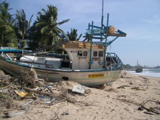 Bild Nr. 8902 - 252 mal gesehen