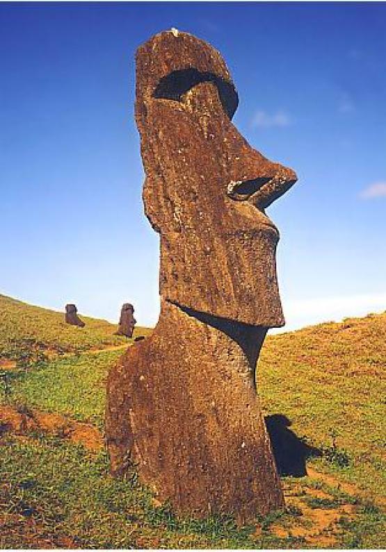 Bild Nr. 924 - 199 mal gesehen Bild Nr. 924 - 199 mal gesehen