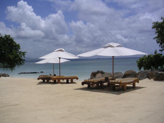 Bild Nr. 9449 - 197 mal gesehen