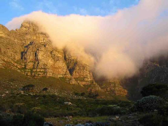 Bild Nr. 9492 - 238 mal gesehen